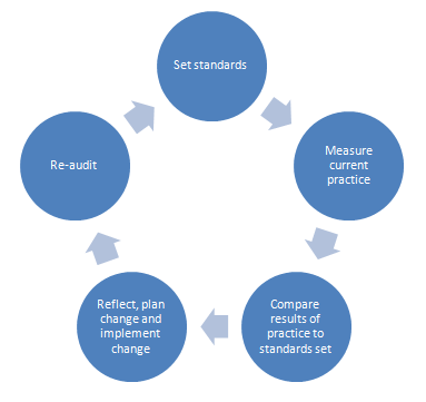 Diagramm des Prüfungszyklus