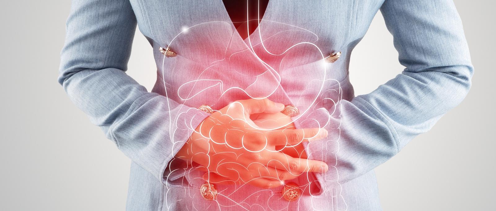 Illustration der inneren Organe ist auf den Körper der Frau gegen den grauen Hintergrund. Business-Frau berührt Magen schmerzhaftes Leiden an Enteritis. inneren Organe des menschlichen Körpers.