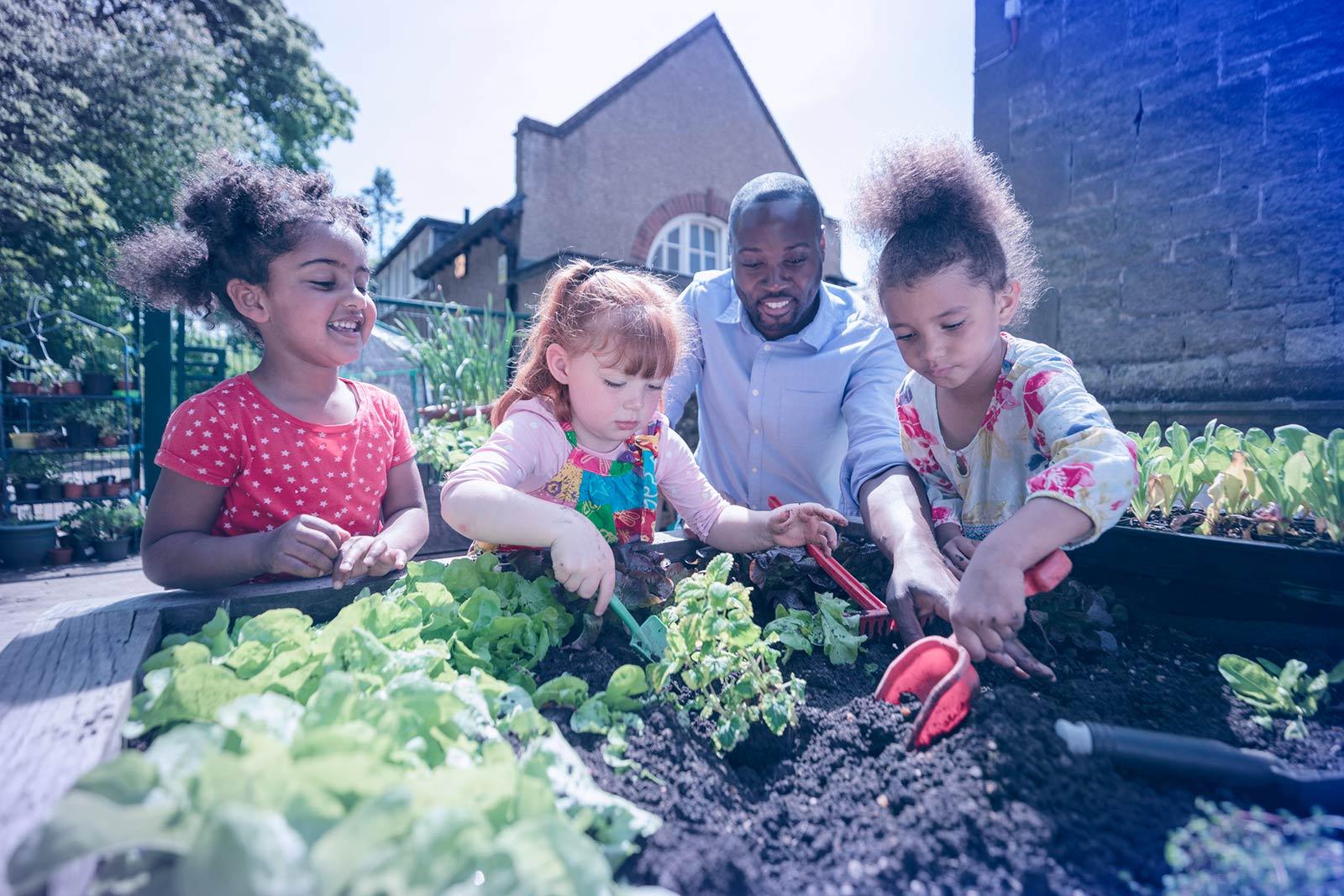 Ein Erwachsener und drei Kinder gärtnern gemeinsam in einem Gemeinschaftsgarten und pflanzen an einem sonnigen Tag Gemüse an.