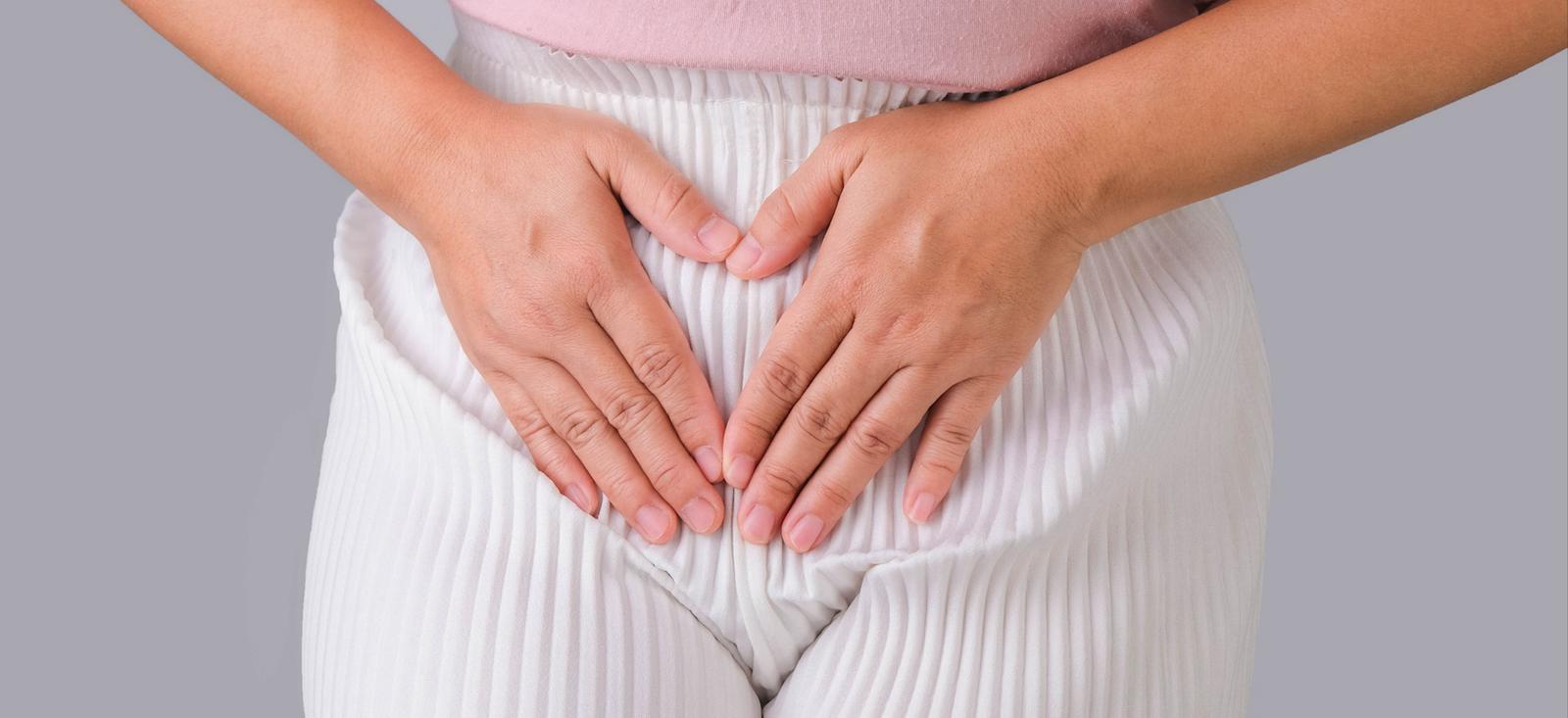 Eine Nahaufnahme eines Weibchens, das sein Becken hält.