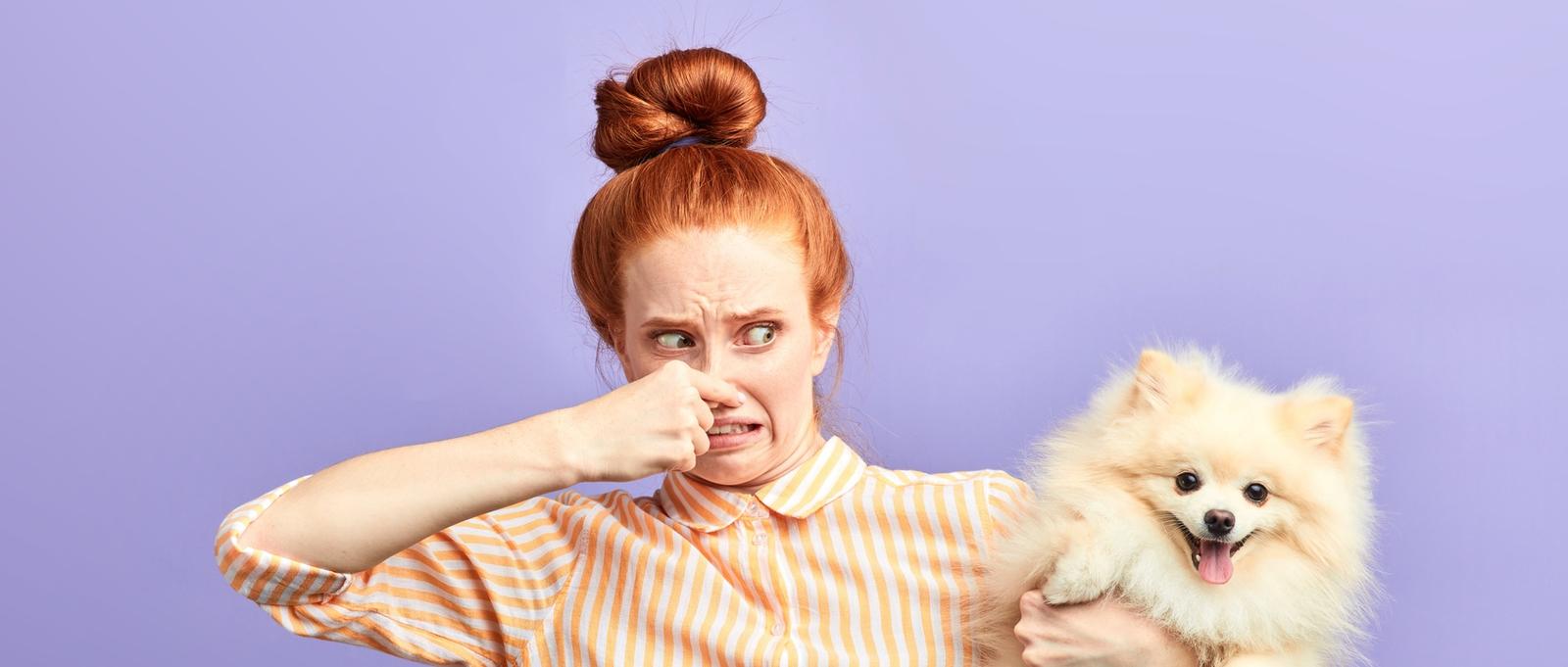 wütendes, frustriertes Mädchen, das sich die Nase mit den Fingern zuhält und einen stinkenden Hund hält. Nahaufnahme, isolierter blauer Hintergrund