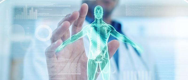 Die Hand interagiert mit einer türkis leuchtenden holografischen Darstellung der menschlichen Anatomie, die das Skelett- und Muskelsystem zeigt.