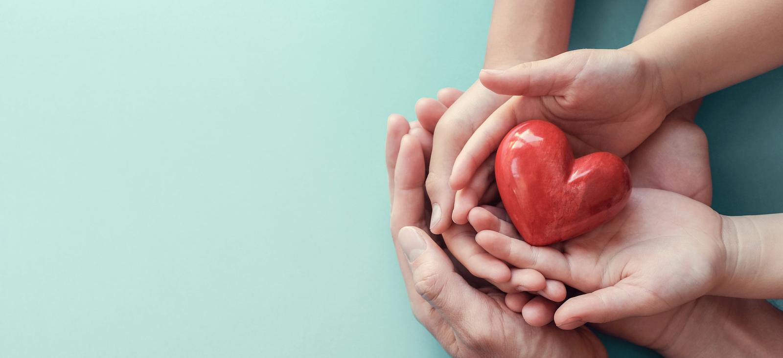 Die Hände halten ein Plastikherz.