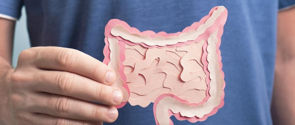 Konzept für eine gesunde Verdauung, Probiotika und Präbiotika für das Mikrobiom des Darms