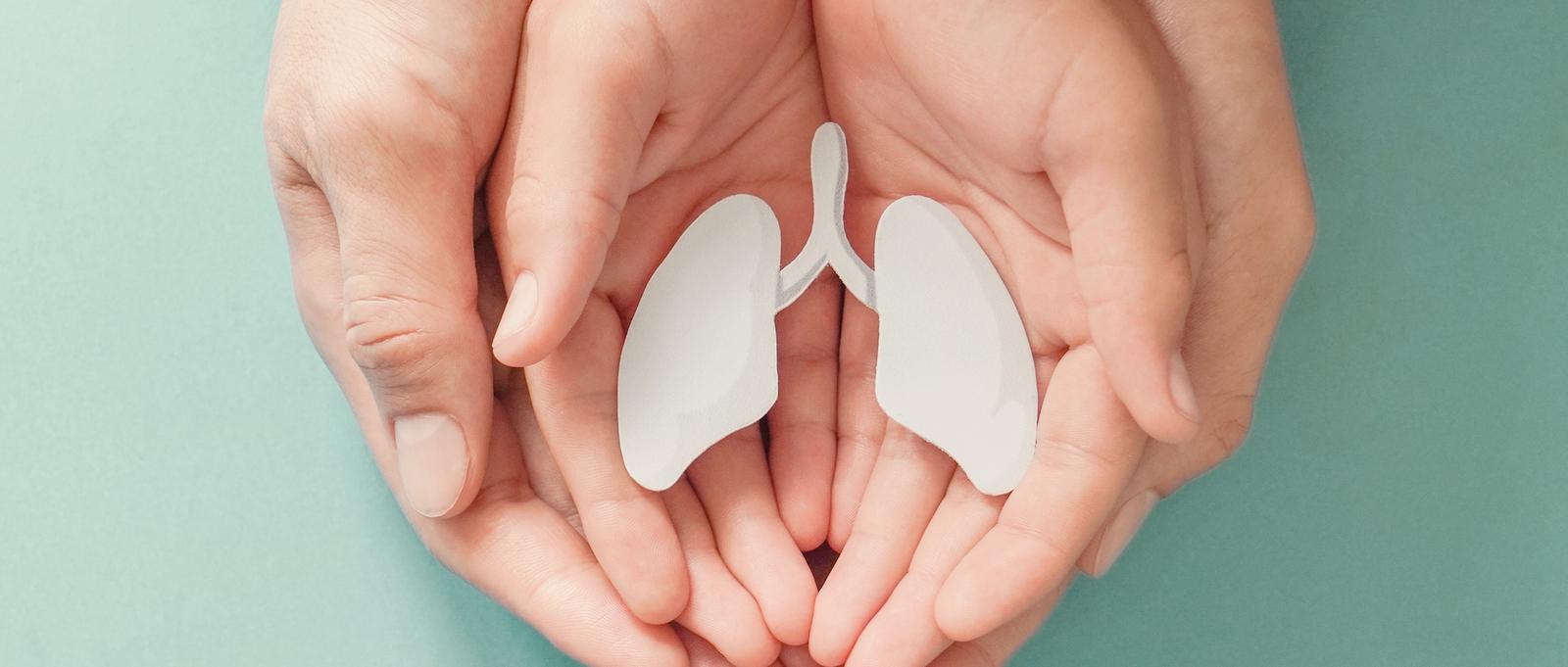 Ein Paar Hände, die einen Pappausschnitt einer Lunge halten.