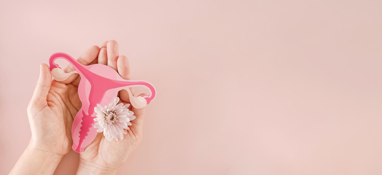 Hands holding a pink uterus model with a white flower, displayed against a soft pink background.