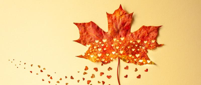 Rotes, herbstliches Ahornblatt mit gemusterten, ausgeschnittenen Herzen auf blassgelbem Hintergrund.