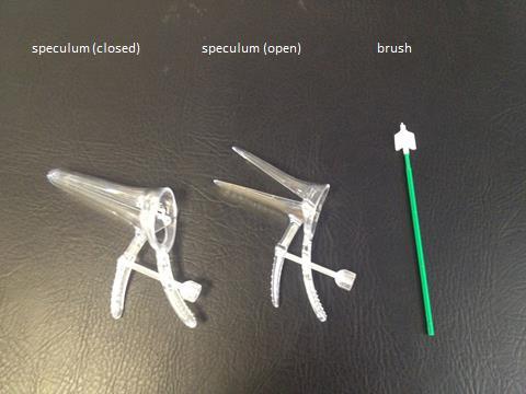 Vaginalspekulum und Gebärmutterhalsbürste für das Zervix-Screening
