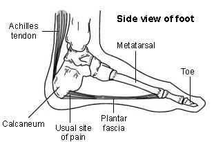 Ferse - Plantar-Faszie
