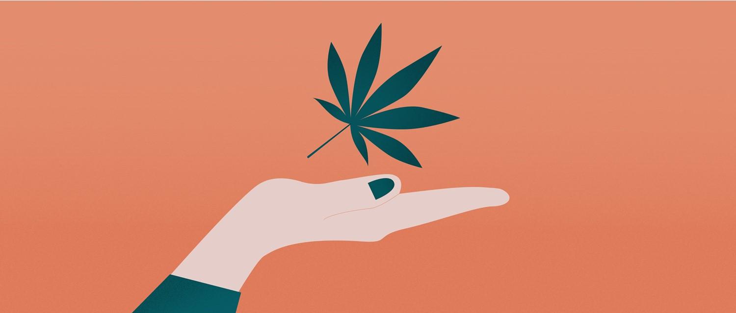 Cbd-Öl