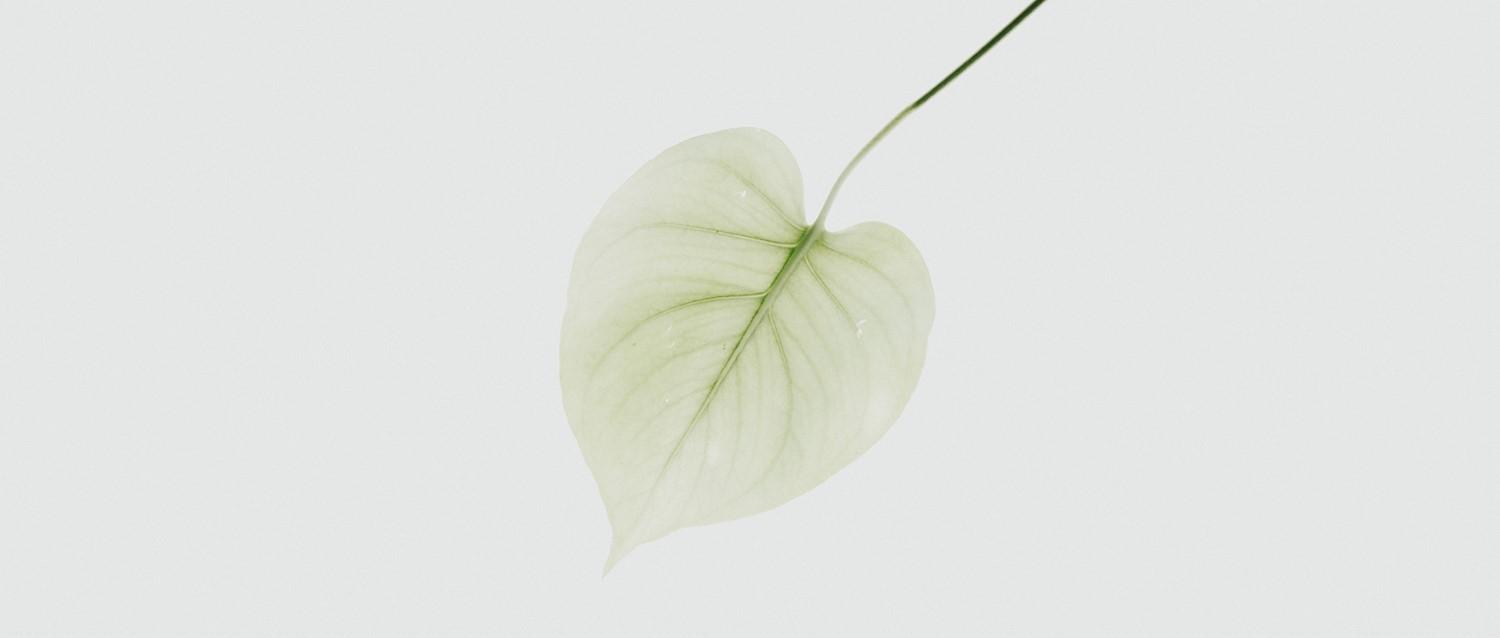 Gynäkologischer Krebs