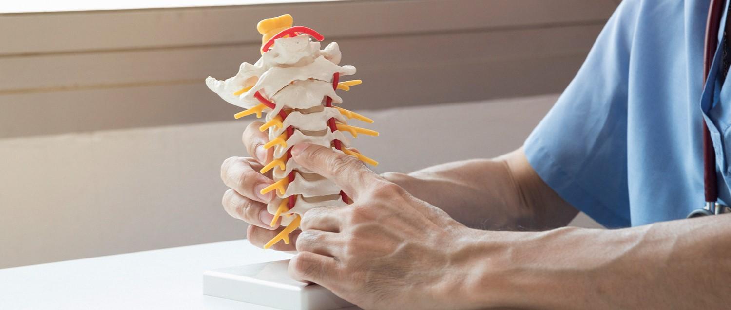 Rücken- und Wirbelsäulenschmerzen