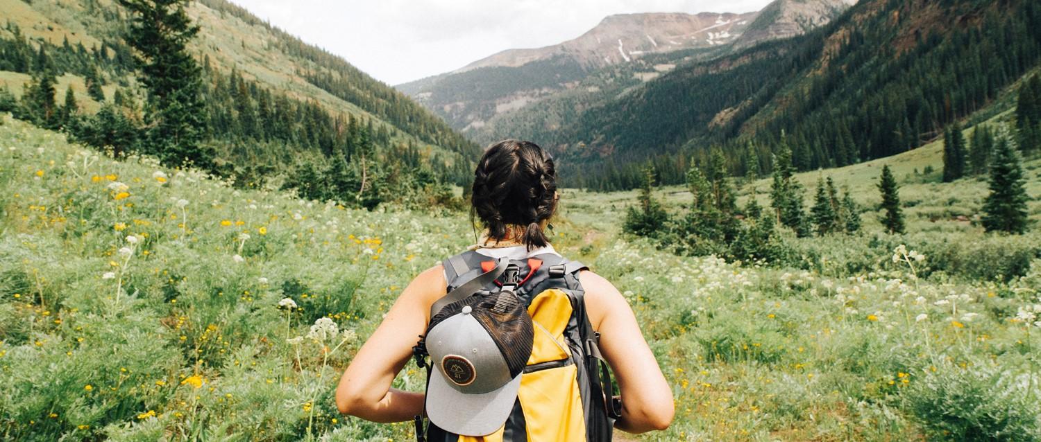 Wanderer mit Rucksack mit Blick auf ein Bergtal mit Wildblumen und Kiefern unter einem strahlenden Sommerhimmel.