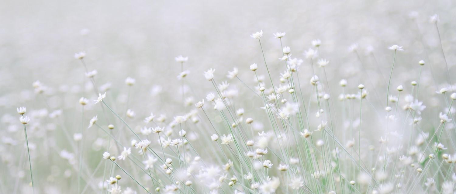 Heuschnupfen-Depression