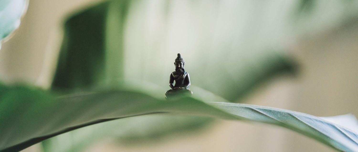 meditation