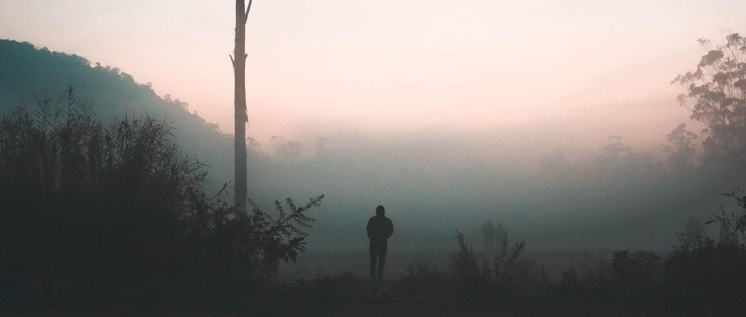 Warum wir Gehirnnebel bekommen