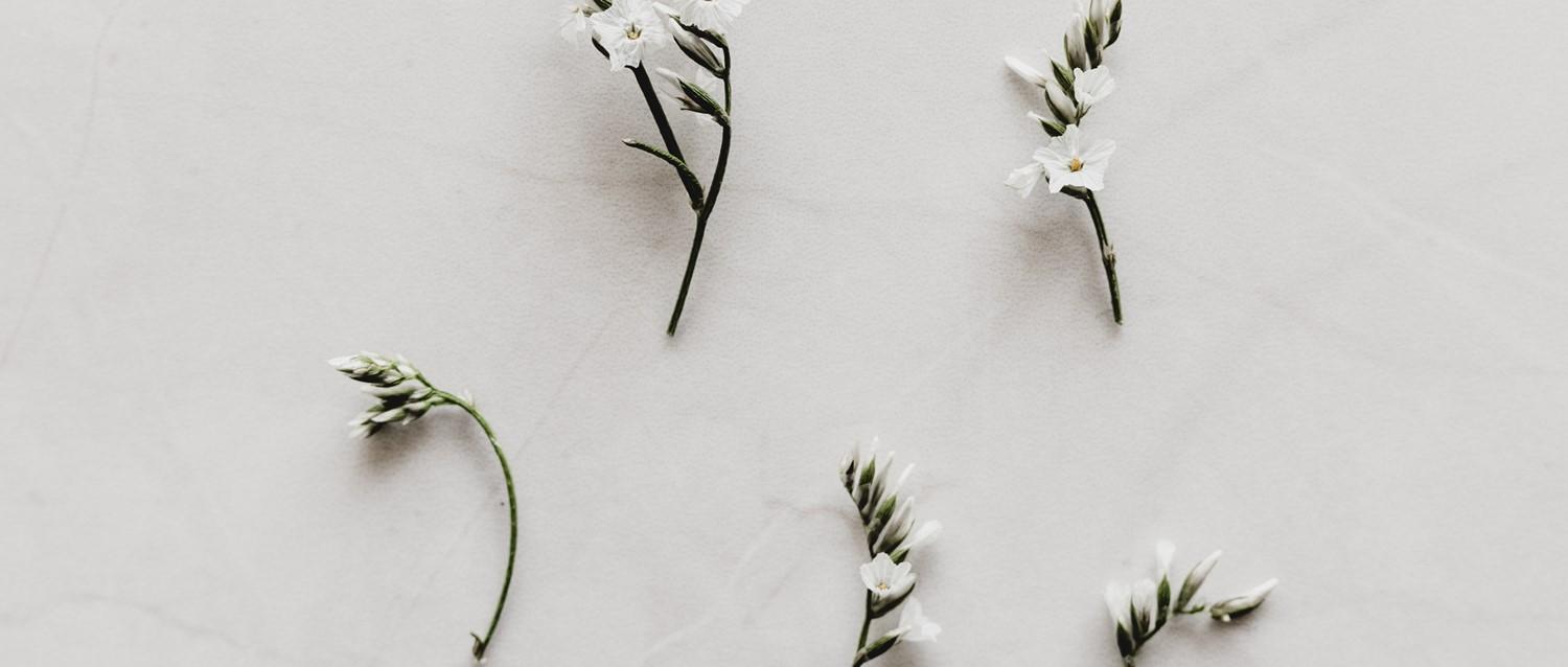 Sind DNA-Tests eine gute Idee?