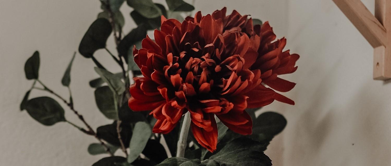 Können Bluttests bei der Behandlung der Wechseljahre und der Hormonersatztherapie helfen?