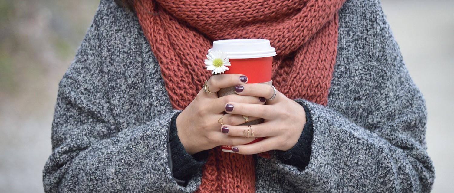 Warum sind manche Viren saisonal?