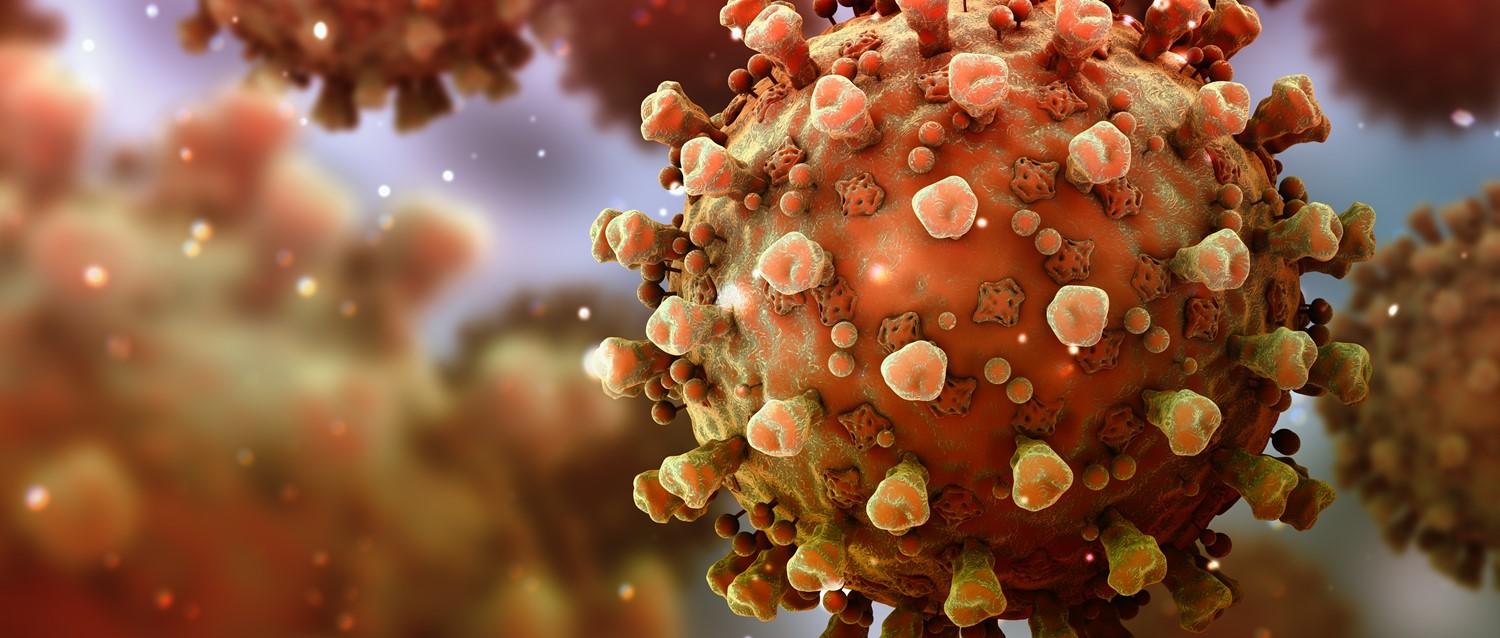 Was wir über die IHU COVID-19-Variante wissen