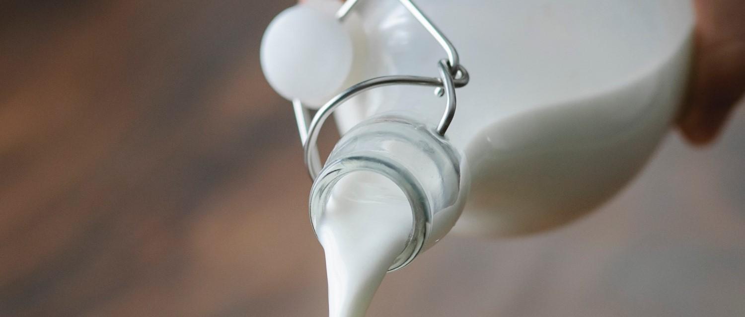 Kuhmilchallergie: Was ist die Milchleiter bei Kindern?