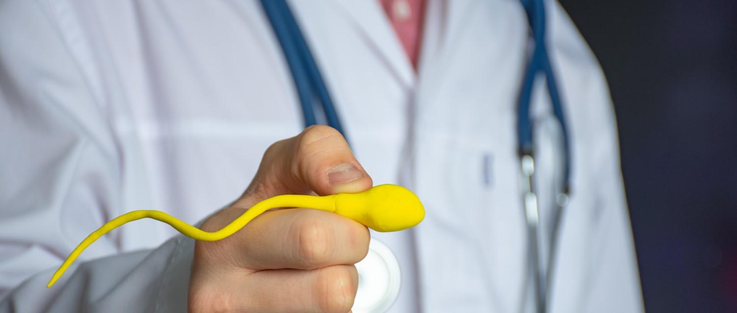 männliche Unfruchtbarkeit