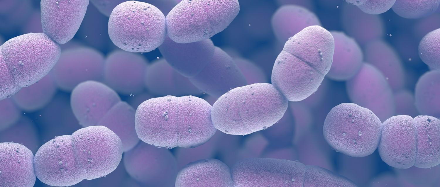 Strep A: Was sind invasive Streptokokken der Gruppe A?